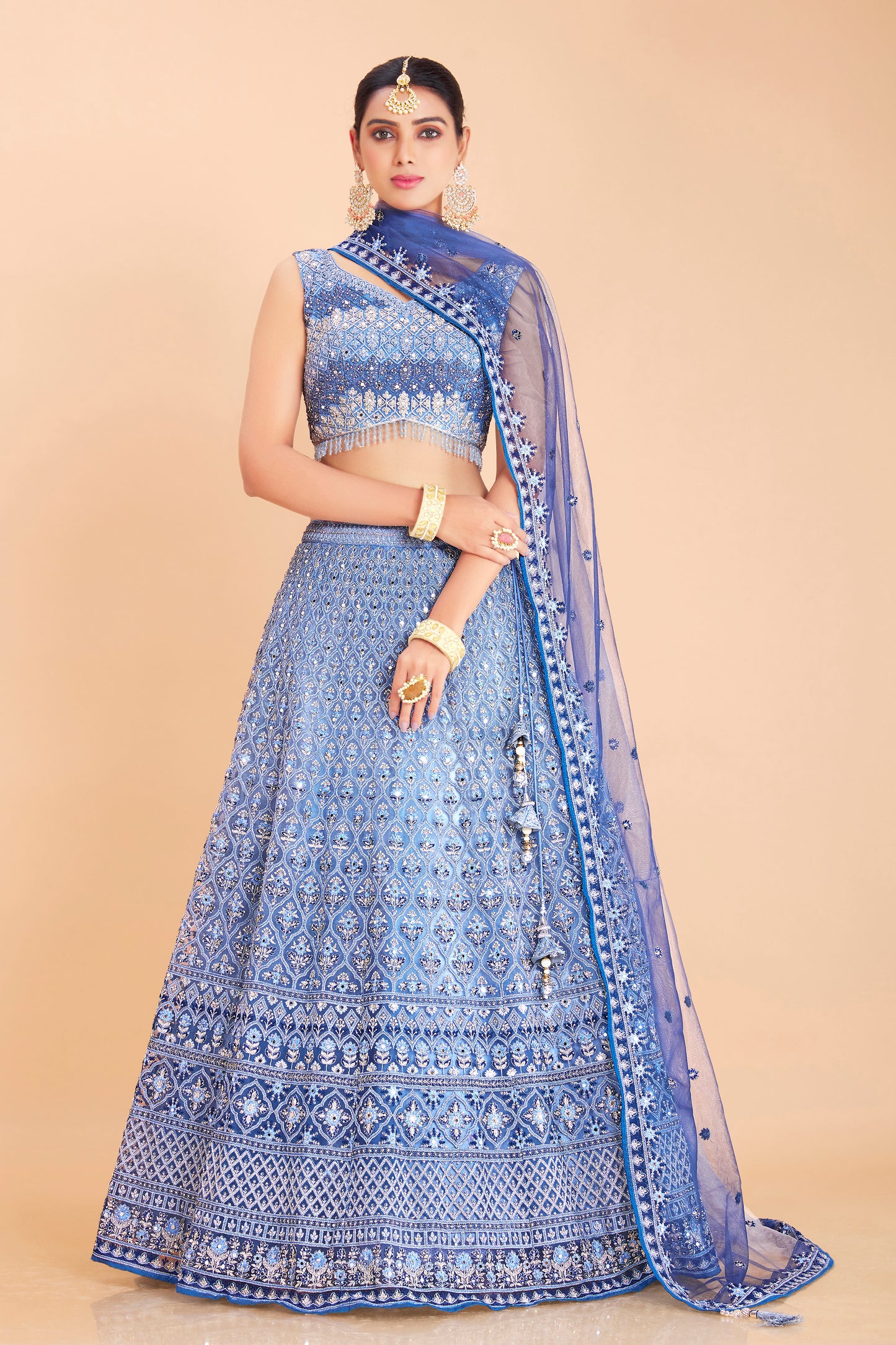 Periwinkle Blue Embroidered Lehenga