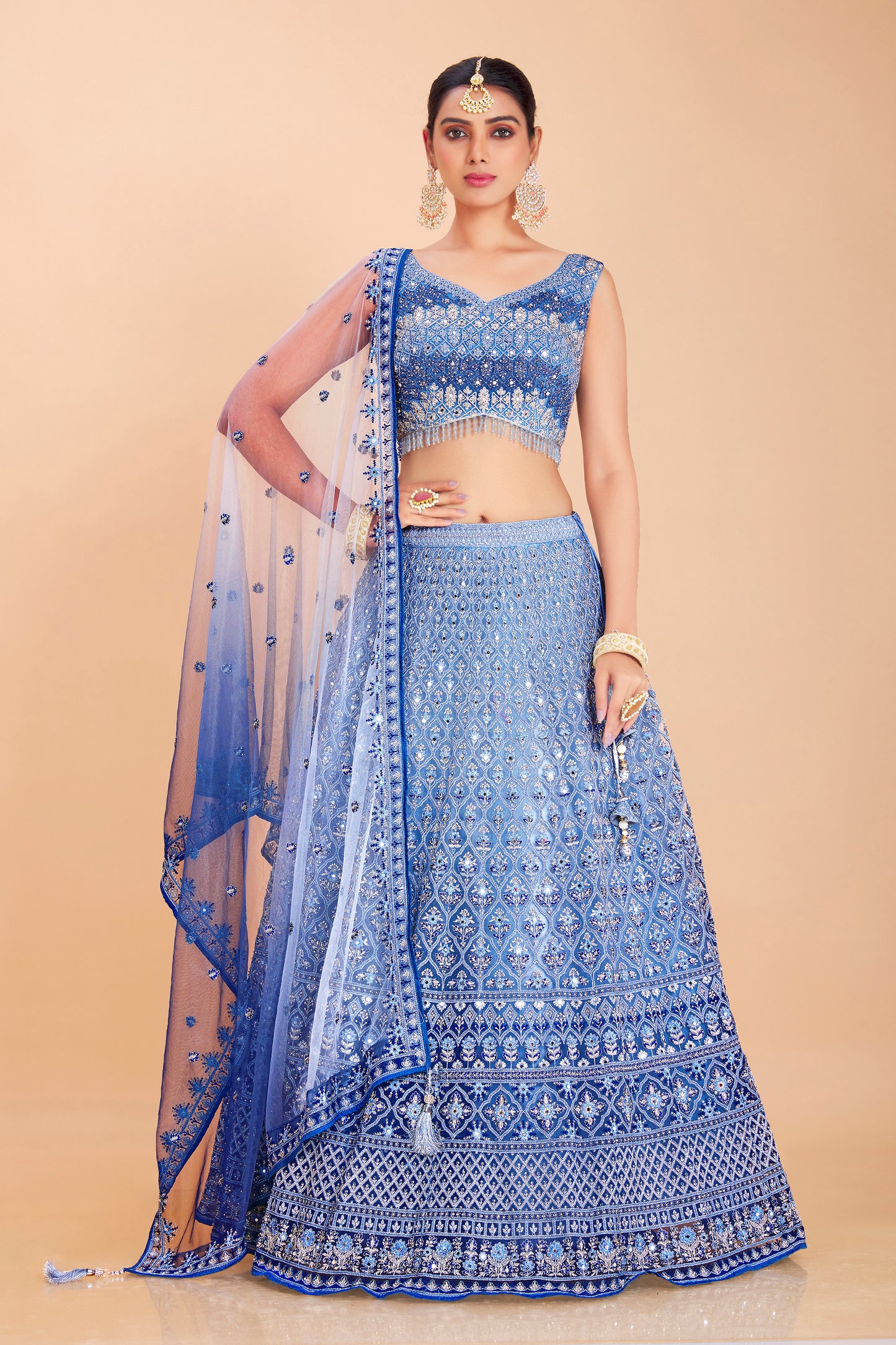 Periwinkle Blue Embroidered Lehenga