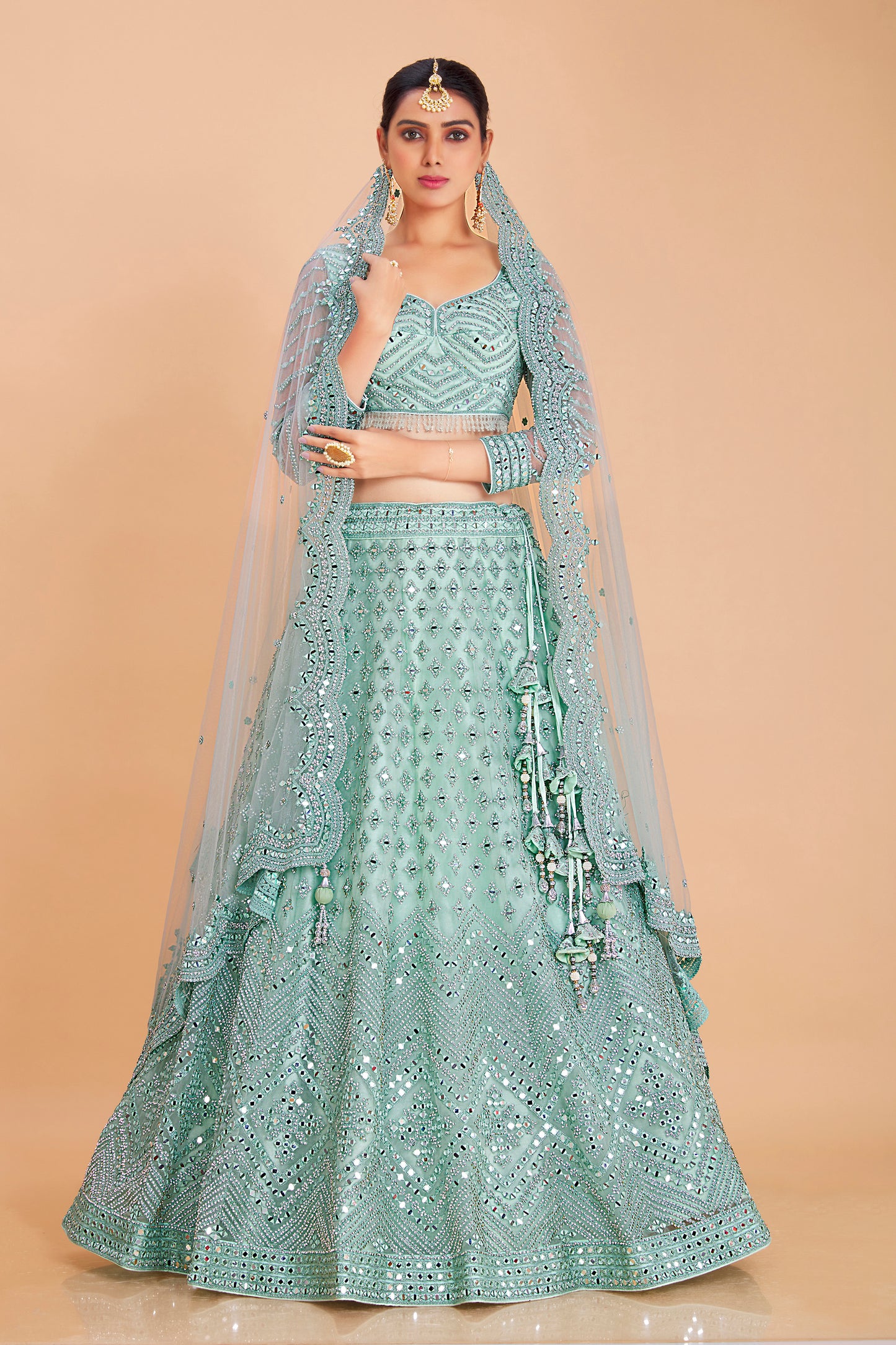 Pastel Blue Embroidered Lehenga